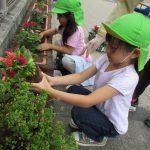花壇・庭づくり活動