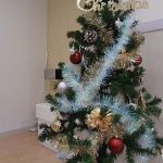 １２月１日曇