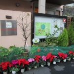 東京都緑化基金様より助成をいただき園内外がクリスマスバージョンになりました