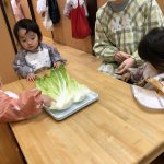 だいち組・そよかぜ組【食育】白菜をちぎったよ♪