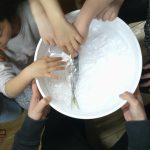 【食育活動：魚の三枚おろし】