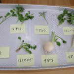 食育「七草」うみ・そら組