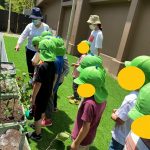 「保育園の園庭では、子どもたちが毎年野菜や花を育てています!!」