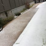 にじ給田分園　「２月の様子♪　雪に触ってみたよ！」