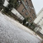 雪！