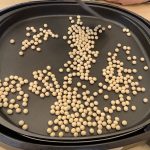「うみ組クッキング☆きなこ作り」