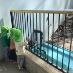 動物公園が大好きです!