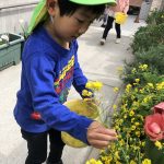 保育園には春がいっぱい！！