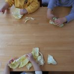 そよかぜ組食育　キャベツちぎりを体験しよう！
