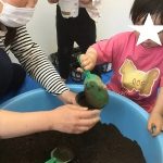 ふたば組　食育活動に夢中です！