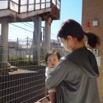 【こどもの日】