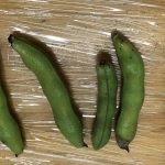 うみ・そら組　そら豆のかわむき
