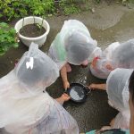 💛6月2日💛大岡山　『雨を五感で感じ、発見を楽しみ梅雨の自然に興味を持つ』