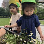【散歩のひとこまです】