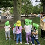 幼児クラス　虫探し