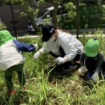 「野菜栽培その1」