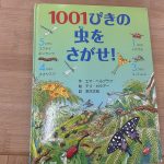 たいよう組ブログ