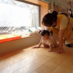 ７月１２日（水曜日）晴☀