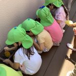 朝顔の種をまきました！
