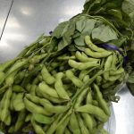 【そよかぜ　枝豆に触ってみたよ！】