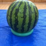 すいか割り　1日目