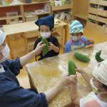 食育:ゴーヤの種取り…郷土料理(沖縄県)