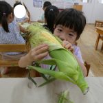 【そらぐみ とうもろこしの皮むき】