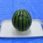 すいかわり