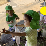 ふたば組　「秋探しをしたよ！」
