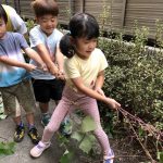 初めてのお芋ほり！