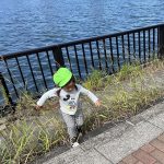 隅田川までお散歩！