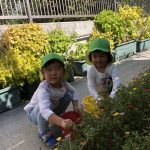 乳児クラス　園庭遊び