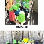 うみ組遠足