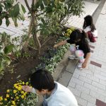 花壇・庭造り事業をしました！