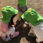 1１月２２日（水曜日）晴☀