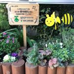 花壇・庭造り事業