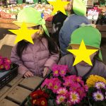 花壇に花を植えました
