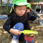 ふたば組 ちゅうりっぷ広場での様子