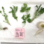 七草がゆ