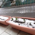 ２月６日（火曜日）曇