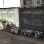 鵜の木 植物再生工場