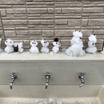 雪遊びをしました!