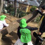 木登り名人