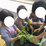 【そらぐみ 大きくなったよ!】