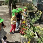 お散歩に行ったよ！