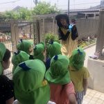 ♡５月２１日♡『アサガオの種を植えました！』　
