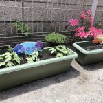 💛5月24日💛『自然育活動』
