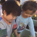 ～うみ組～野菜の収穫をしたよ