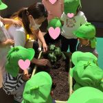 幼児夏野菜