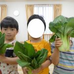 【うみぐみ 食育 チンゲン菜ちぎり】